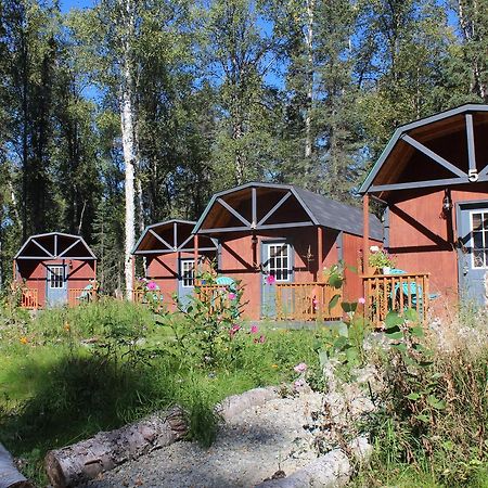 Dfa Cabin Rentals Talkeetna Kültér fotó