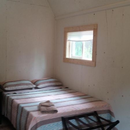 Dfa Cabin Rentals Talkeetna Kültér fotó