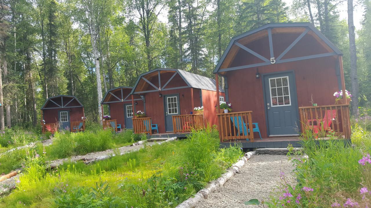 Dfa Cabin Rentals Talkeetna Kültér fotó
