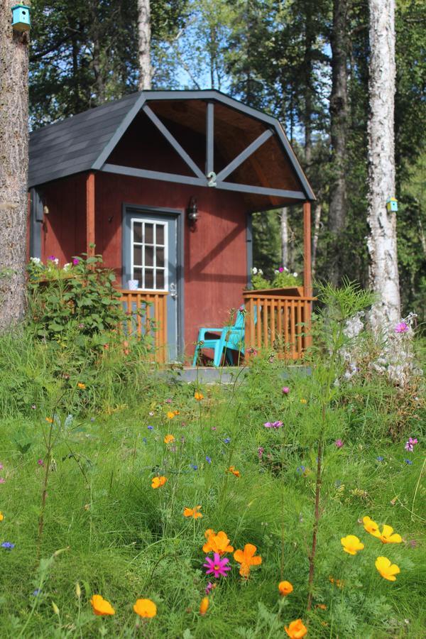 Dfa Cabin Rentals Talkeetna Kültér fotó