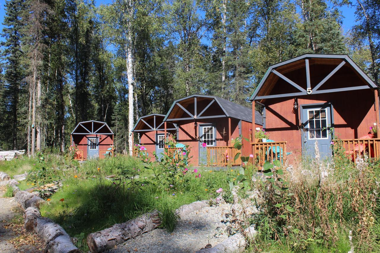 Dfa Cabin Rentals Talkeetna Kültér fotó